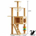 Arbre à Chat Multifonction en Bois – Villa avec Niche, Griffoir et Plateformes de Jeu – Mobilier Design pour Chats Toutes Saisons