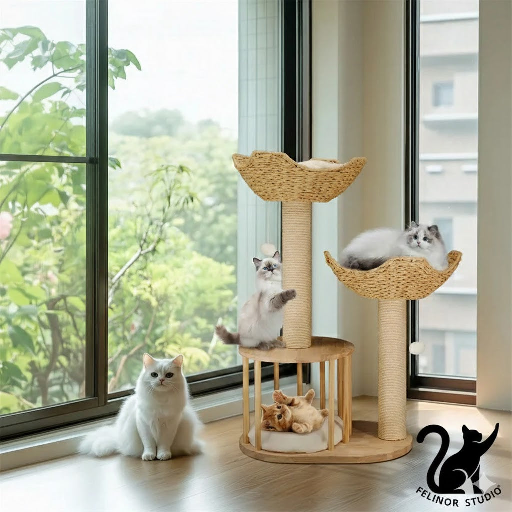 Arbre à Chat 3 Niveaux en Bois – Griffoir en Sisal avec Niches et Paniers – Arbre à Chat d’Intérieur