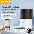 Distributeur Automatique ROJECO avec Caméra pour Chat et Chien
