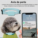 Traceur GPS pour Animaux avec Collier Réglable – Localisateur Intelligent pour Chats et Chiens
