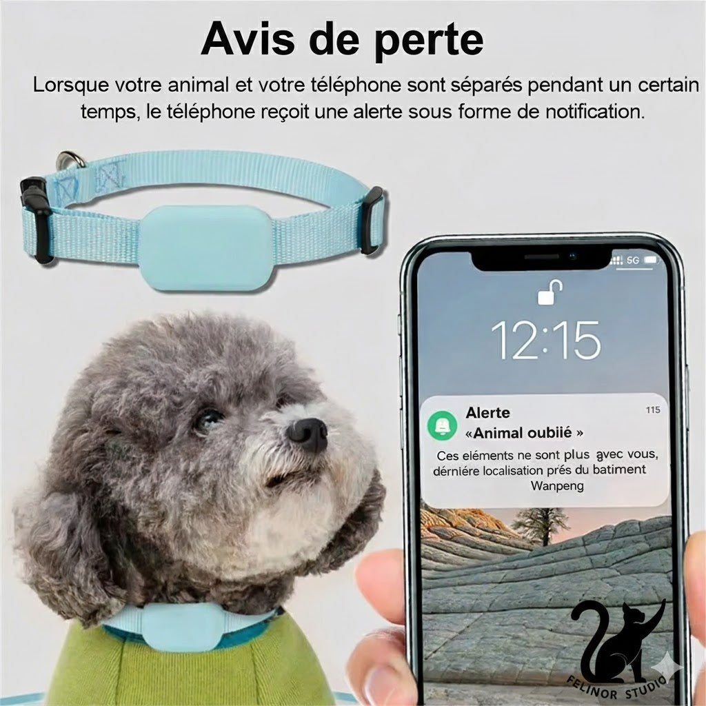 Traceur GPS pour Animaux avec Collier Réglable – Localisateur Intelligent pour Chats et Chiens