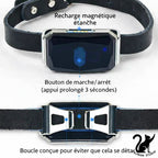 Traceur GPS intelligent G12 pour chien et chat – Collier anti-perte mini étanche – Localisateur intelligent pour animaux de compagnie