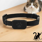 Traceur GPS pour Animaux avec Collier Réglable – Localisateur Intelligent pour Chats et Chiens