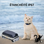Traceur GPS intelligent G12 pour chien et chat – Collier anti-perte mini étanche – Localisateur intelligent pour animaux de compagnie