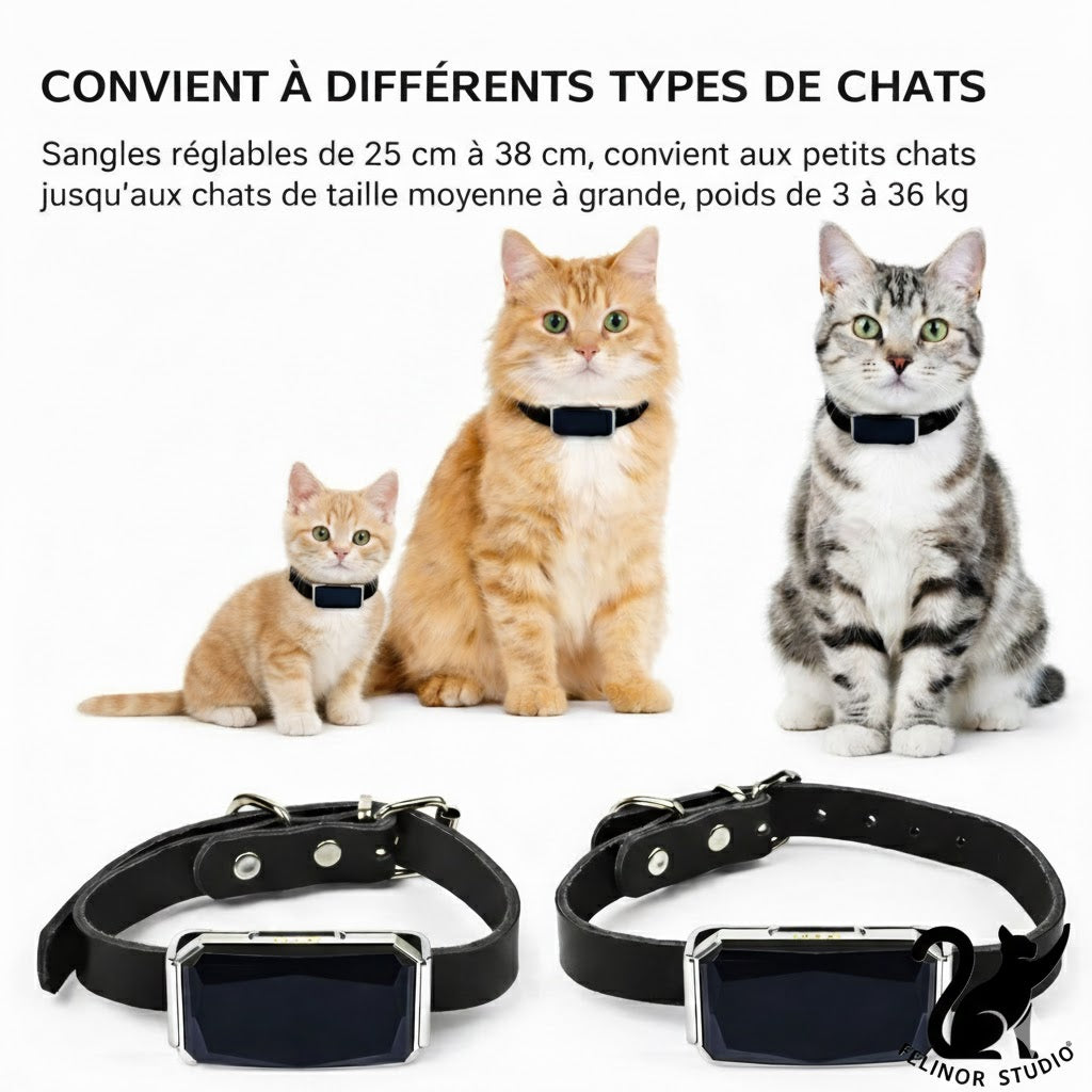 Traceur GPS intelligent G12 pour chien et chat – Collier anti-perte mini étanche – Localisateur intelligent pour animaux de compagnie
