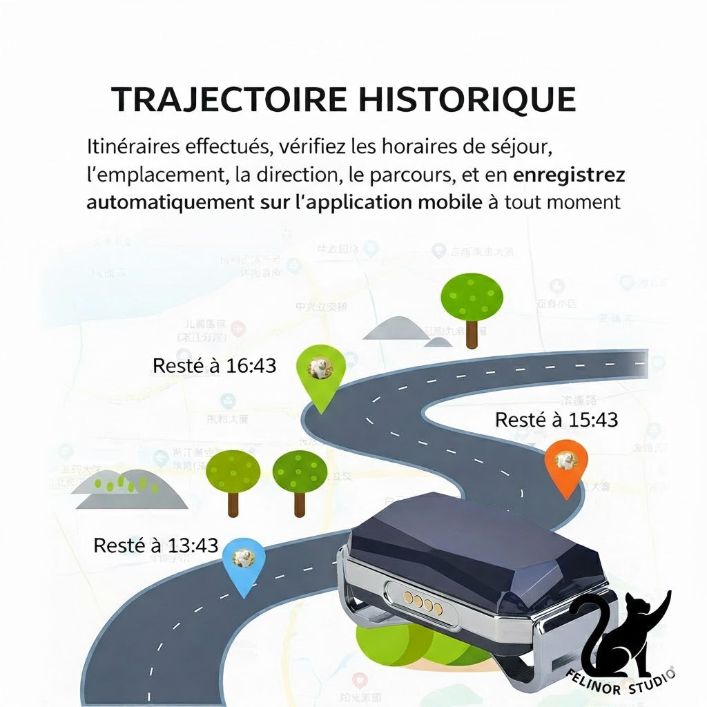 Traceur GPS intelligent G12 pour chien et chat – Collier anti-perte mini étanche – Localisateur intelligent pour animaux de compagnie