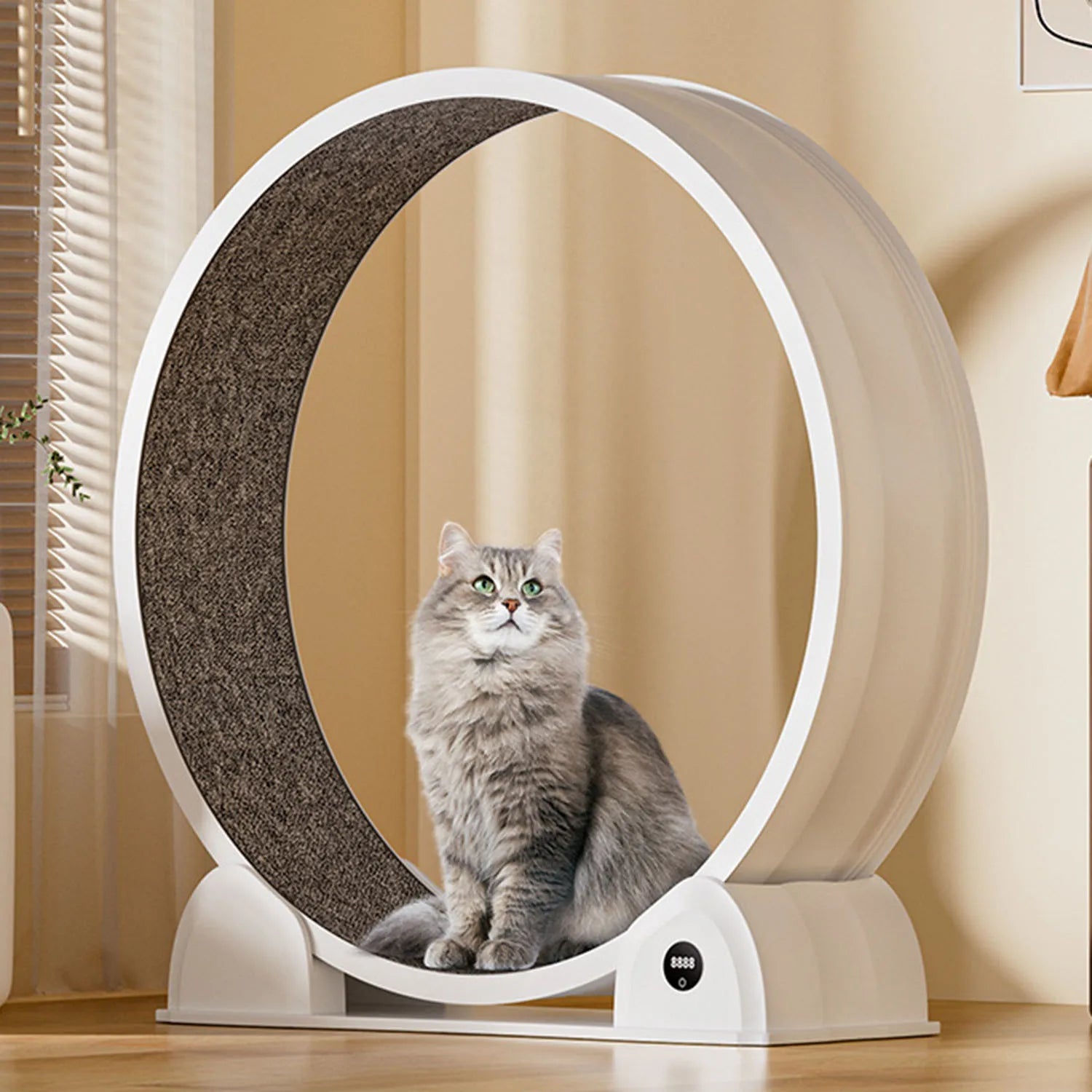 Roue d’Exercice pour Chat 110 cm – Tapis de Course Silencieux avec Compteur d’Activité