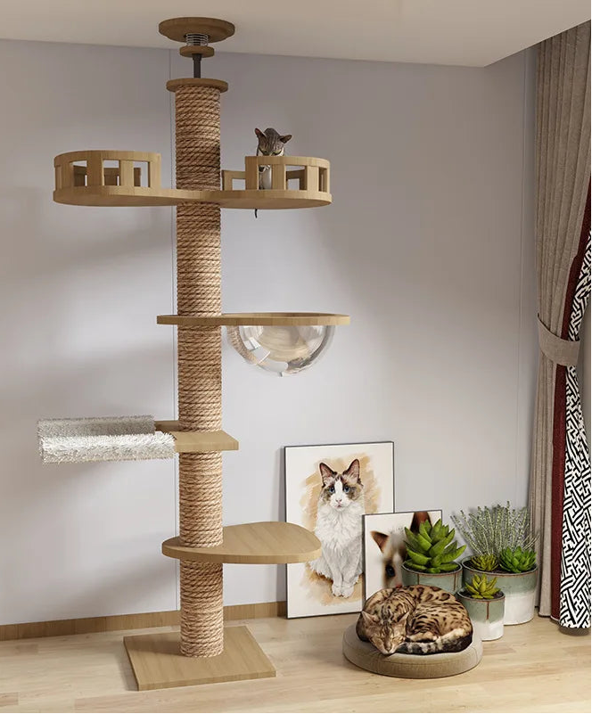 Arbre à chat plafond réglable – Tour multi-niveaux avec griffoirs, hamac et maison pour chats