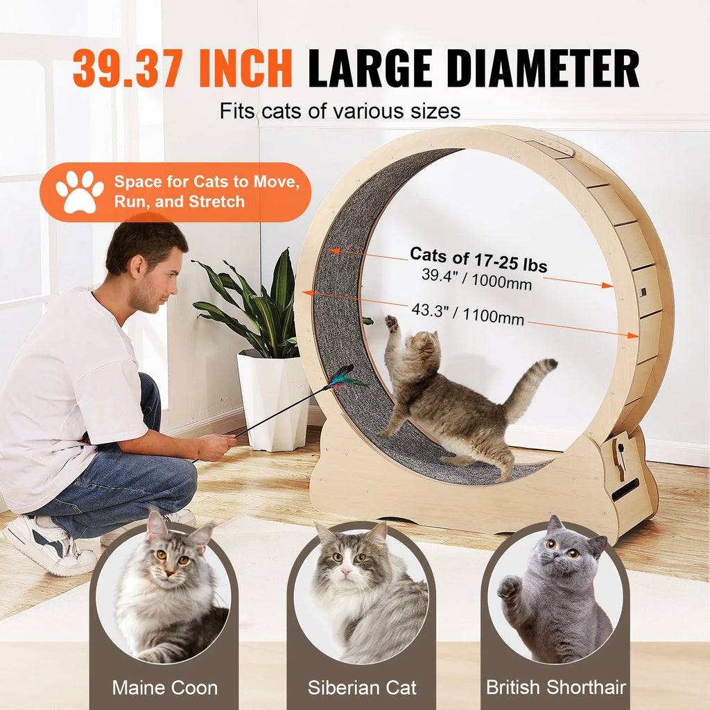 Tapis de course pour chat en bois – Roue d’exercice silencieuse 75, 81, 110 ou 132 cm – Antidérapant, stable et sécurisé pour chats d’intérieur