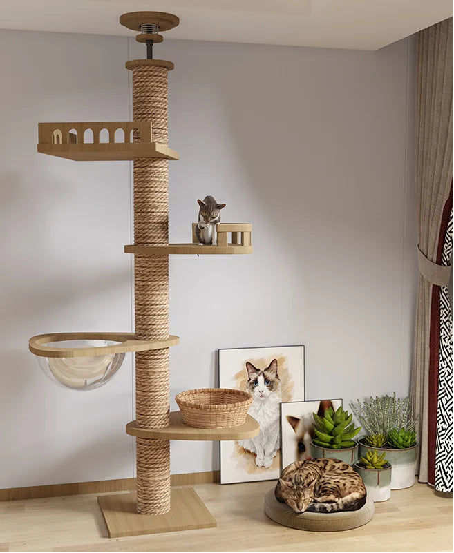 Arbre à chat plafond réglable – Tour multi-niveaux avec griffoirs, hamac et maison pour chats