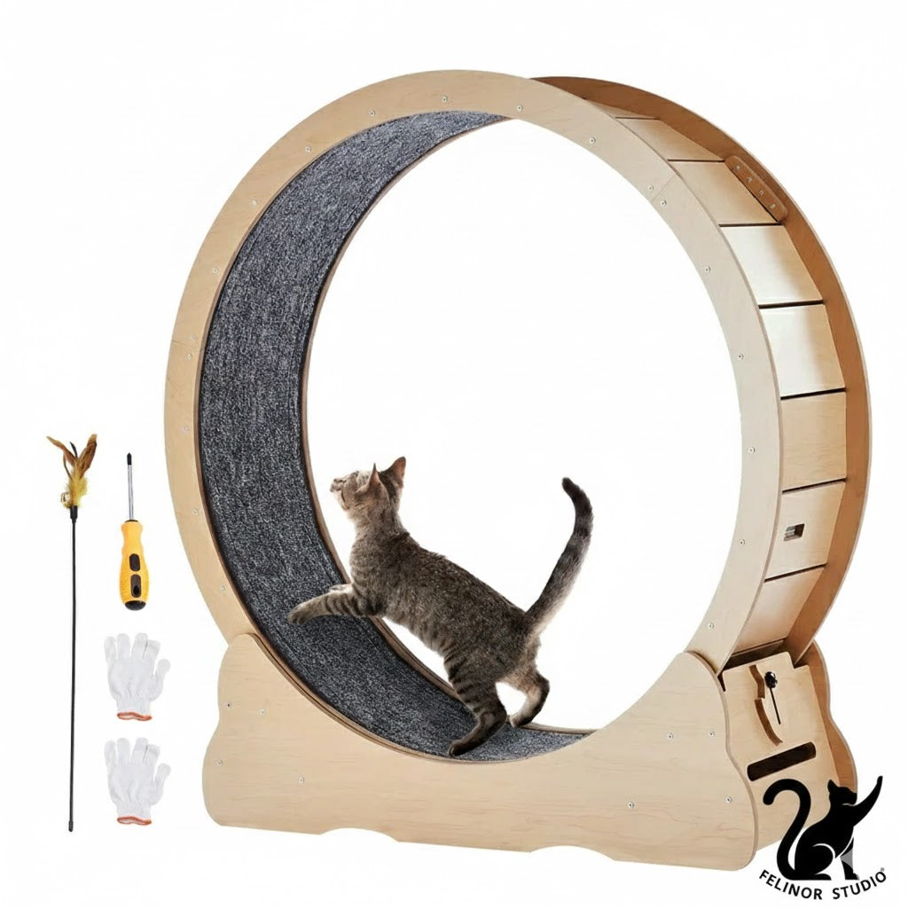 Tapis de course pour chat en bois – Roue d’exercice silencieuse 75, 81, 110 ou 132 cm – Antidérapant, stable et sécurisé pour chats d’intérieur
