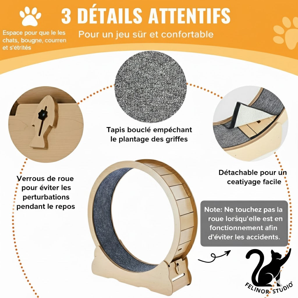 Tapis de course pour chat en bois – Roue d’exercice silencieuse 75, 81, 110 ou 132 cm – Antidérapant, stable et sécurisé pour chats d’intérieur