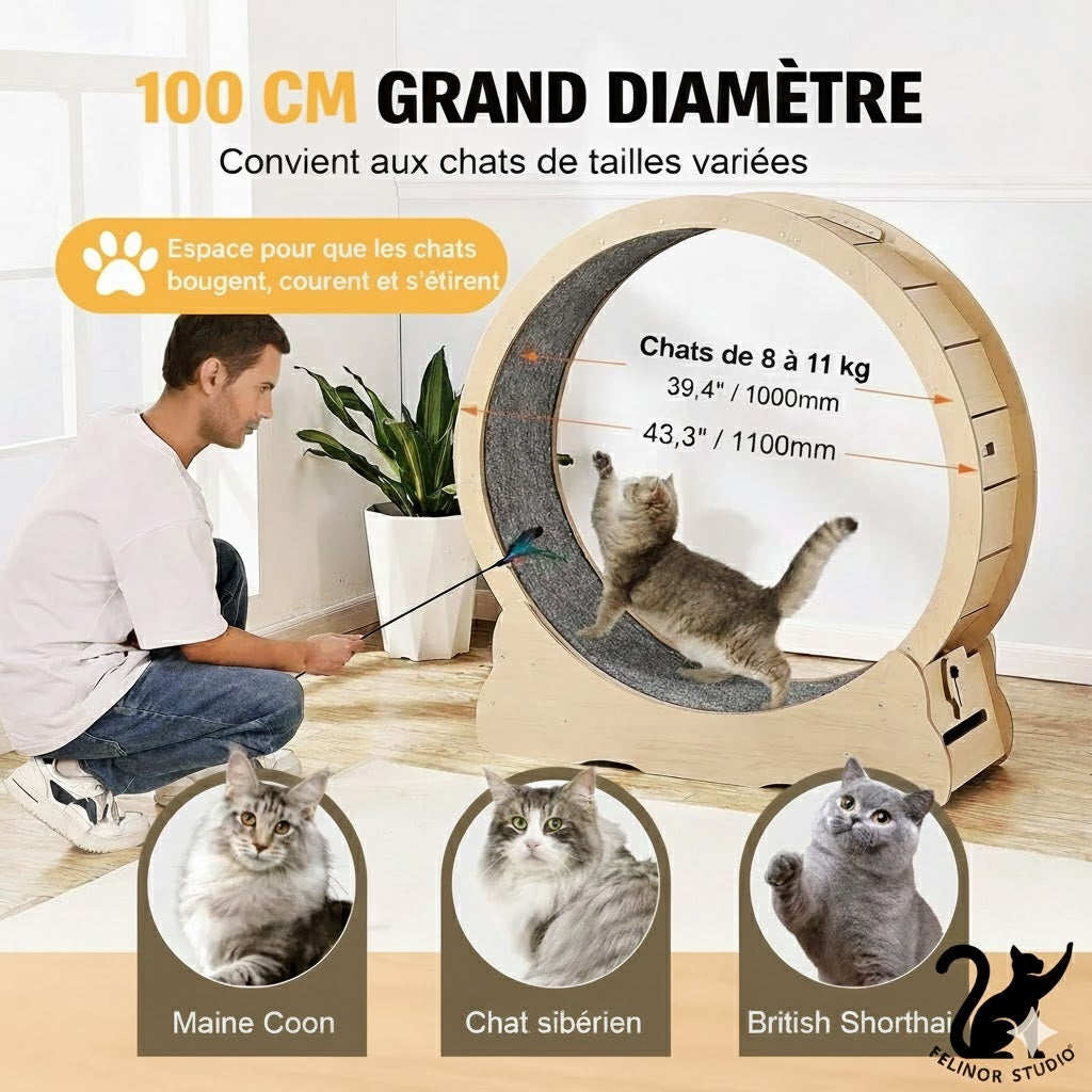 Tapis de course pour chat en bois – Roue d’exercice silencieuse 75, 81, 110 ou 132 cm – Antidérapant, stable et sécurisé pour chats d’intérieur