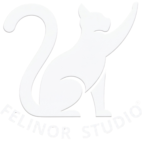 Felinor Studio